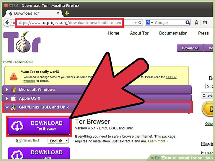 Using tor for torrents